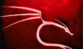 Setup Kali Nethunter KeX: Simple Things You Need To Know